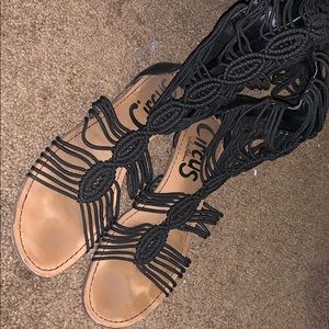 Circus - High gladiators